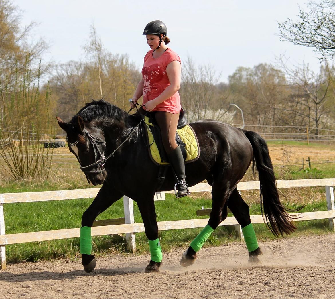 Oldenborg Elias af Lundsager billede 15