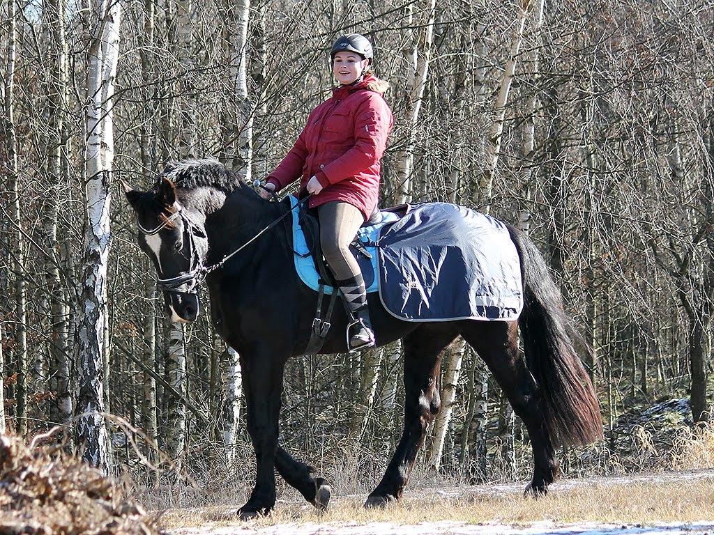 Oldenborg Elias af Lundsager billede 17