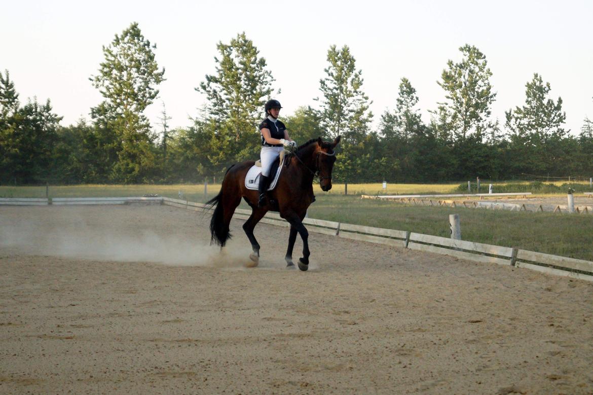 Oldenborg Cornett  billede 17