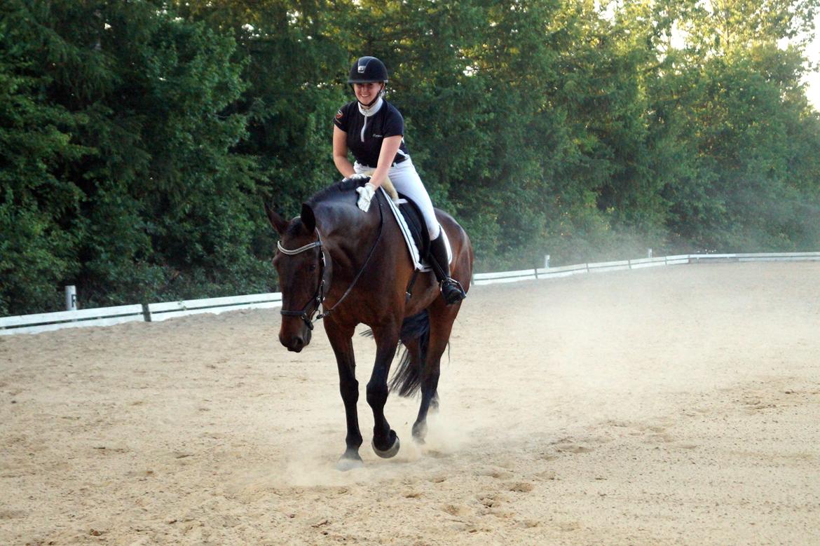 Oldenborg Cornett  billede 26