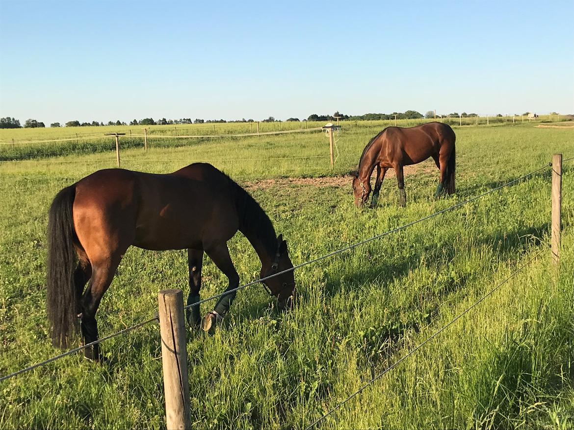 Traver Treasure Me K G billede 19