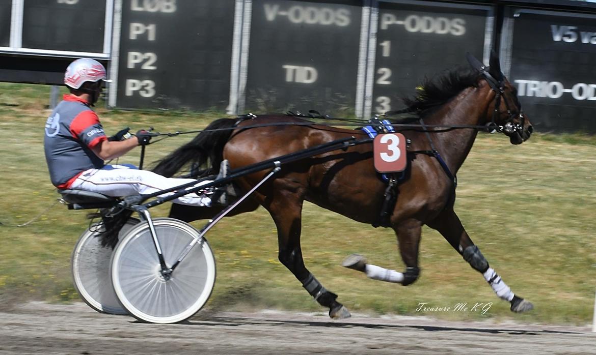 Traver Treasure Me K G - Så fik Treasure bestået sit prøveløb i 20,3  billede 17