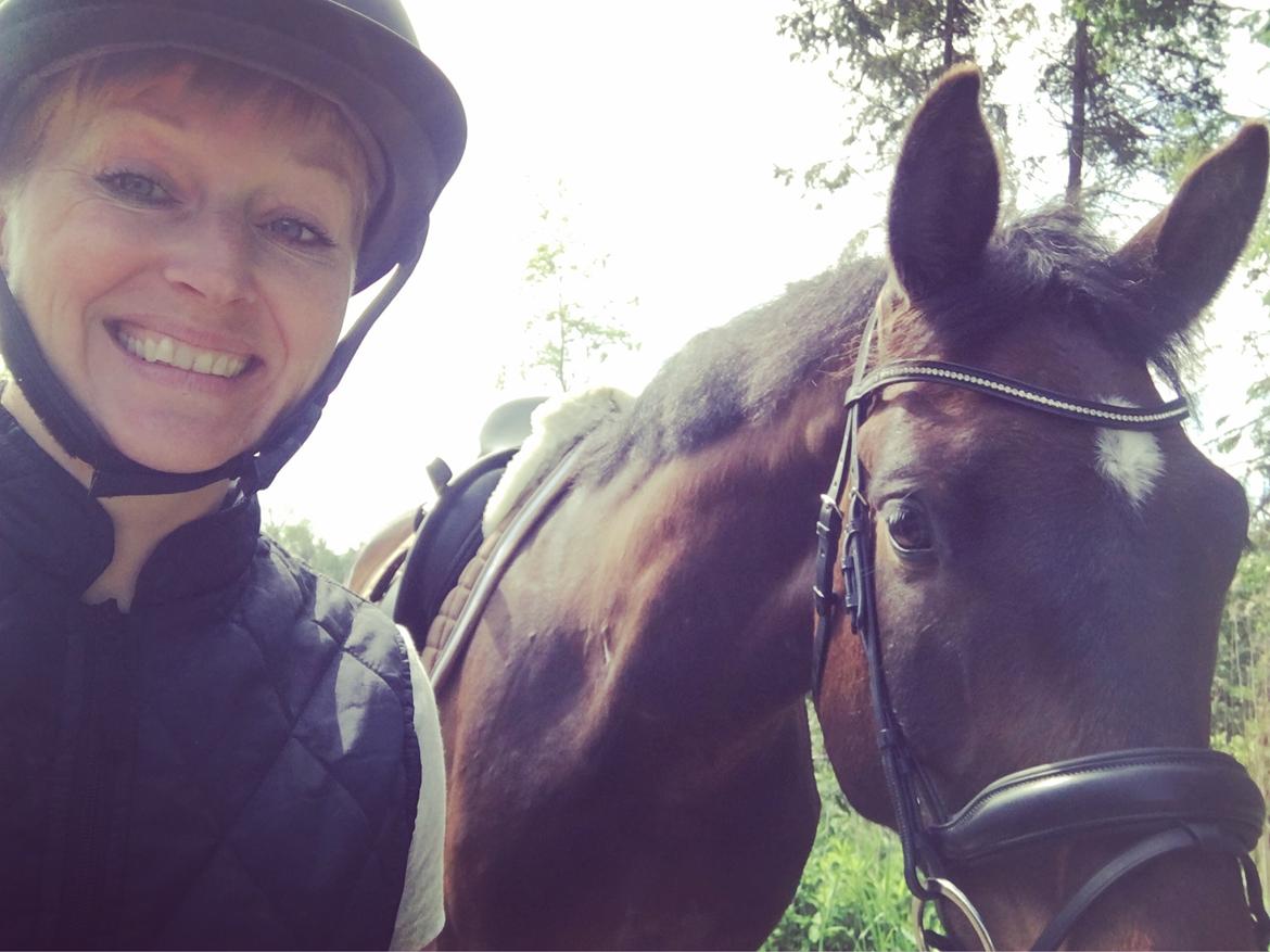 Dansk Varmblod Farmand's Premiere billede 13