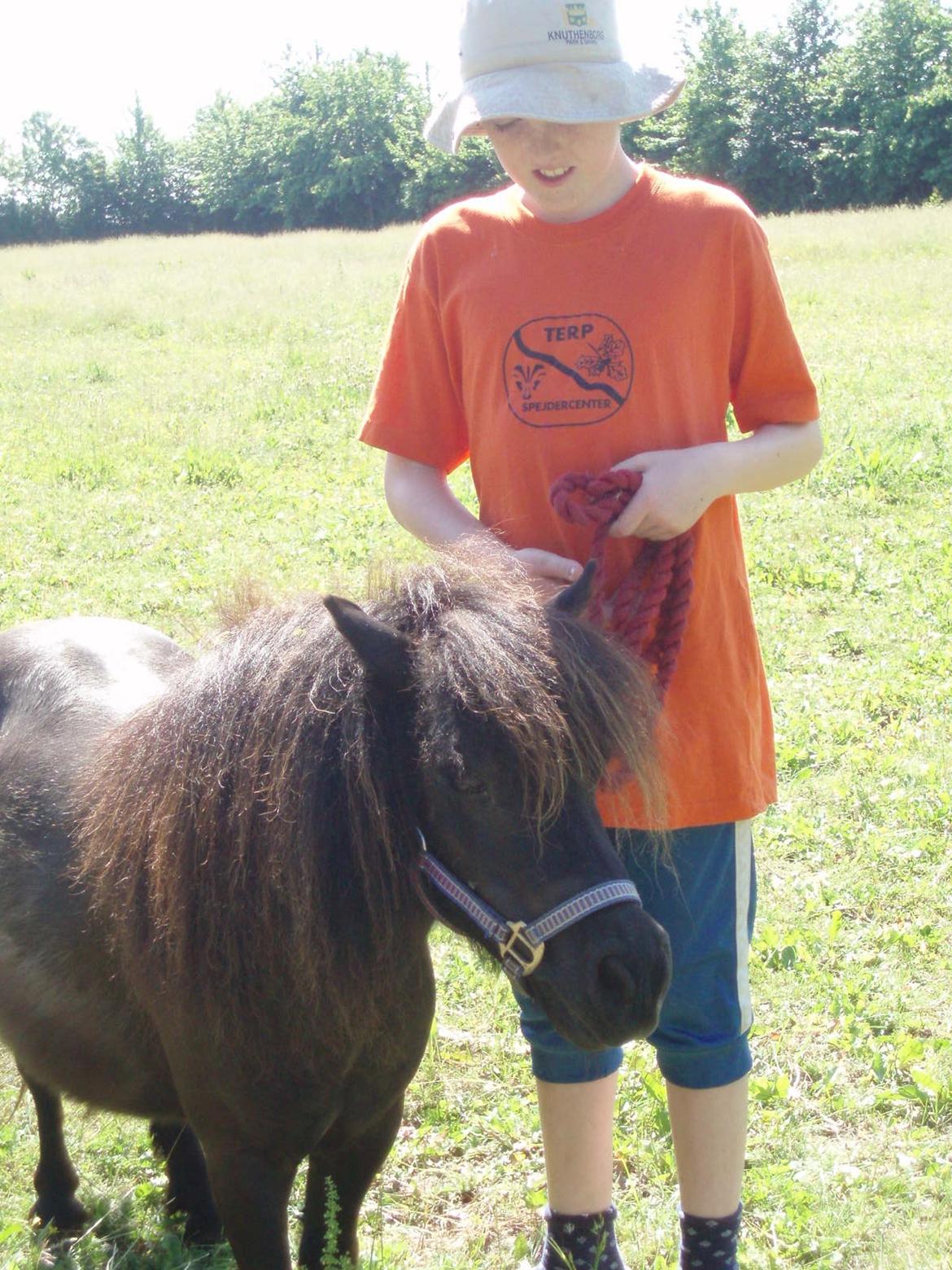 Anden særlig race Sally (prinsessen) billede 6