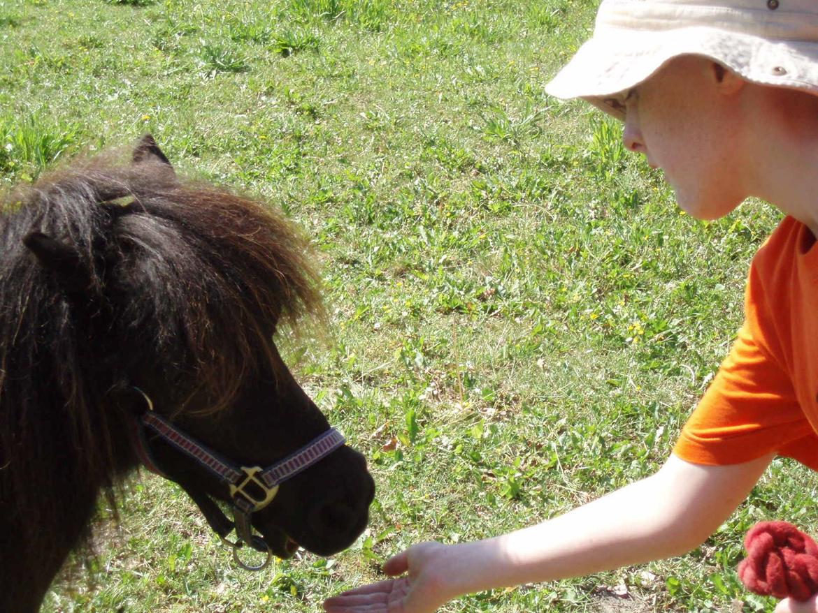 Anden særlig race Sally (prinsessen) - Første møde med Sally :)) billede 1