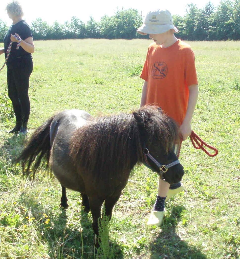 Anden særlig race Sally (prinsessen) billede 7
