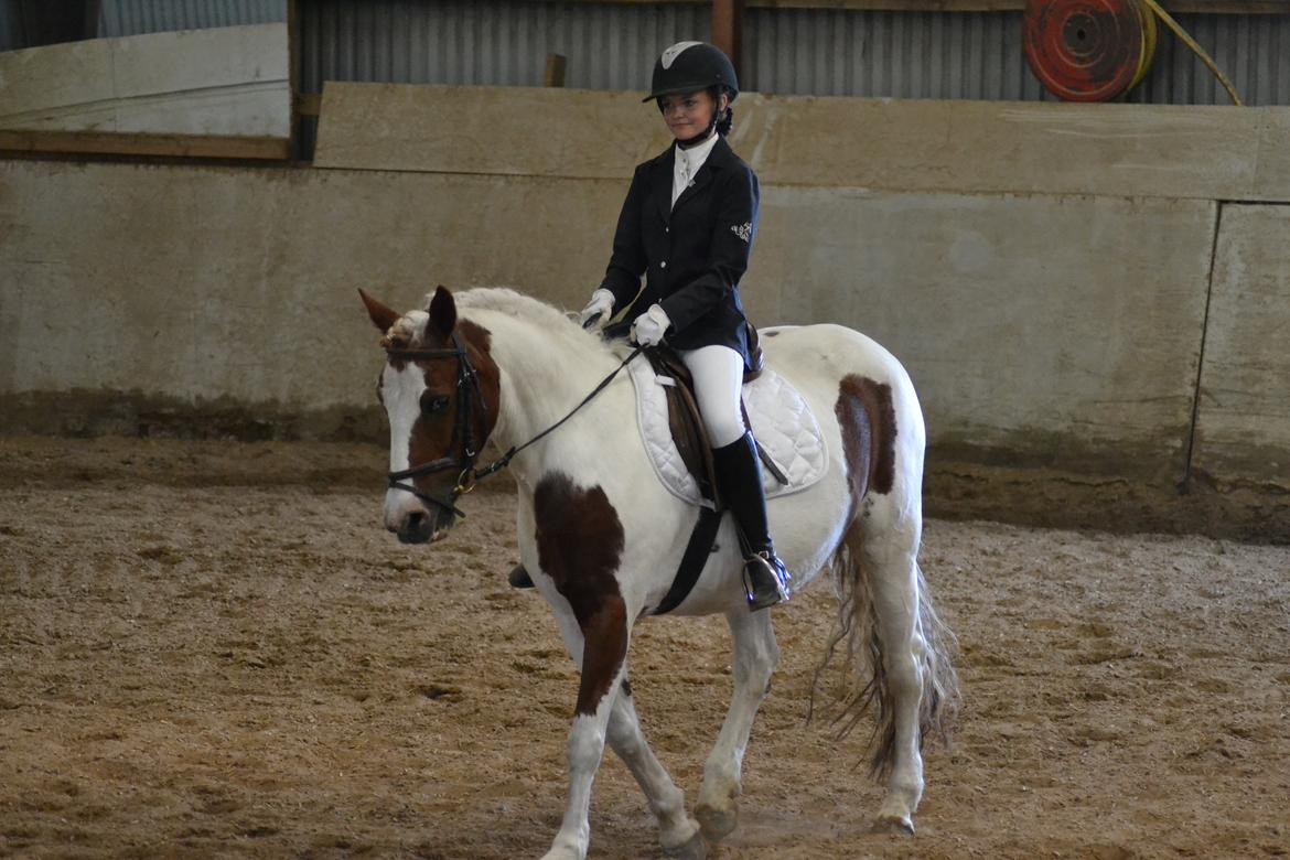 Anden særlig race Susan. (SAVNES!!!) - LD1 02/06-2018 hjemmebane ELM billede 1