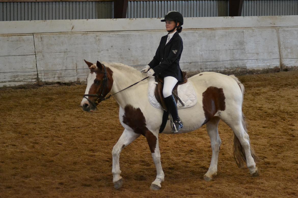 Anden særlig race Susan. (SAVNES!!!) - LD1 02/06-2018 hjemmebane ELM billede 8