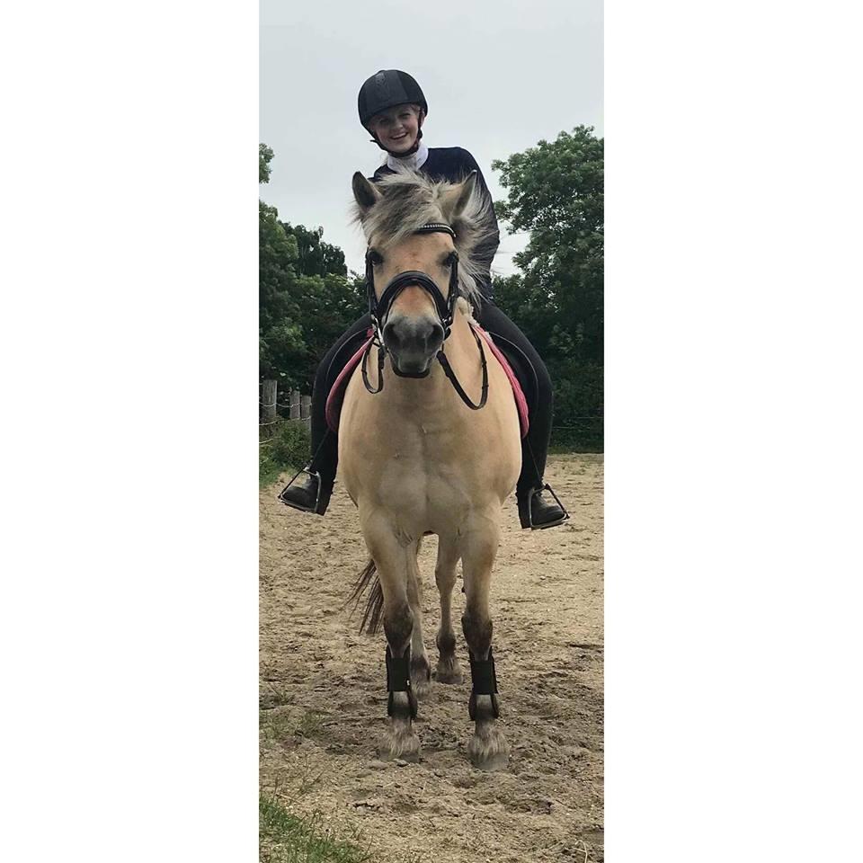 Fjordhest Thilde billede 12