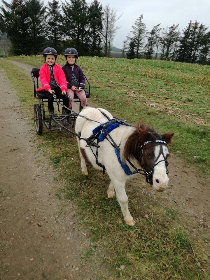 Miniature Pepsi billede 13