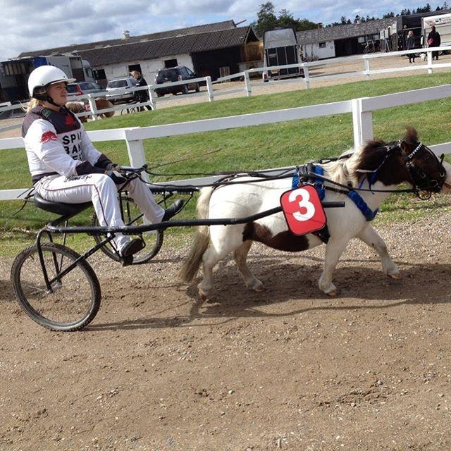 Miniature Pepsi - Jydsk Grand prix 2015 billede 5