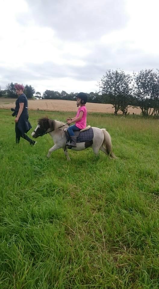 Miniature Pepsi billede 10