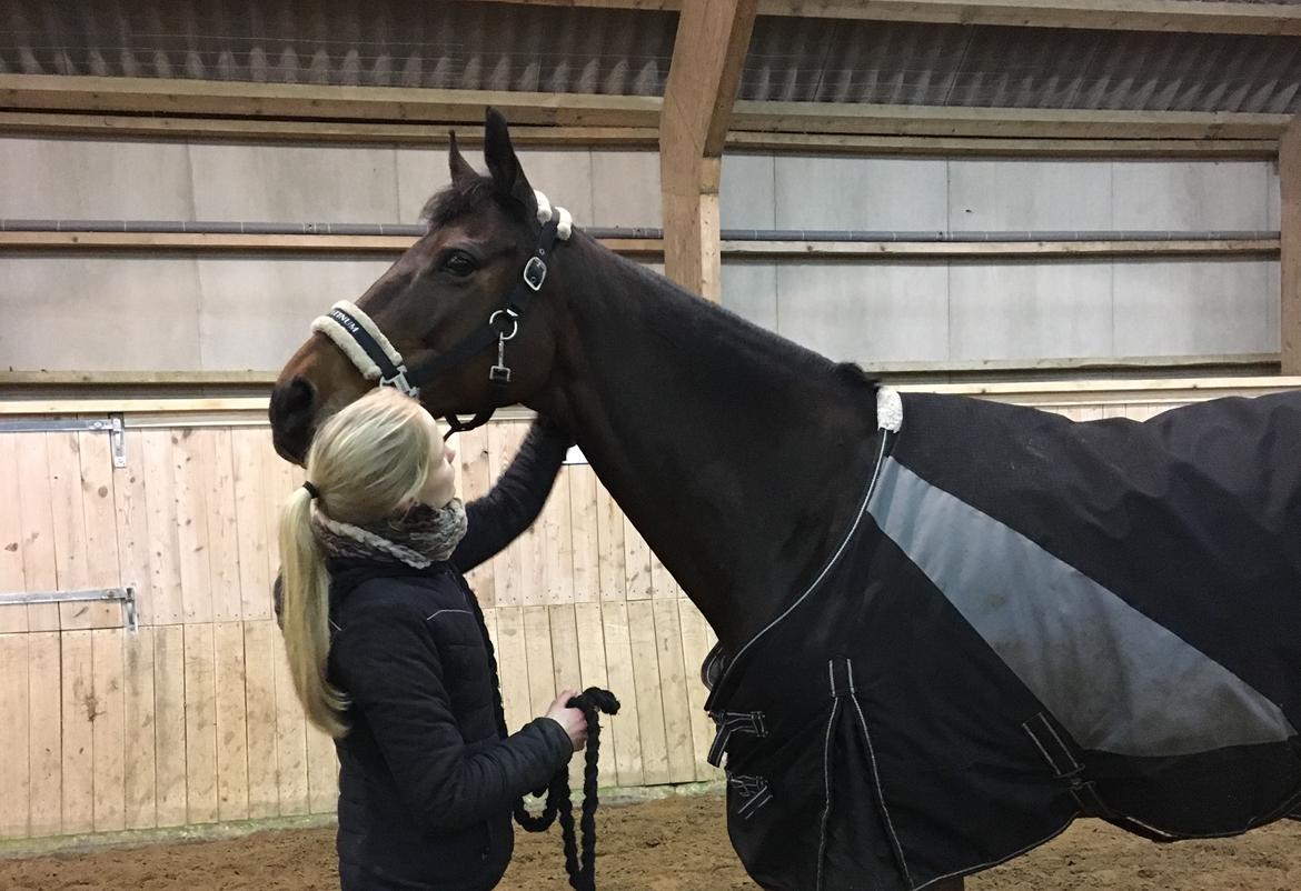 Fuldblod (XX) Madame de Jour XX (den) (Smilla) billede 4