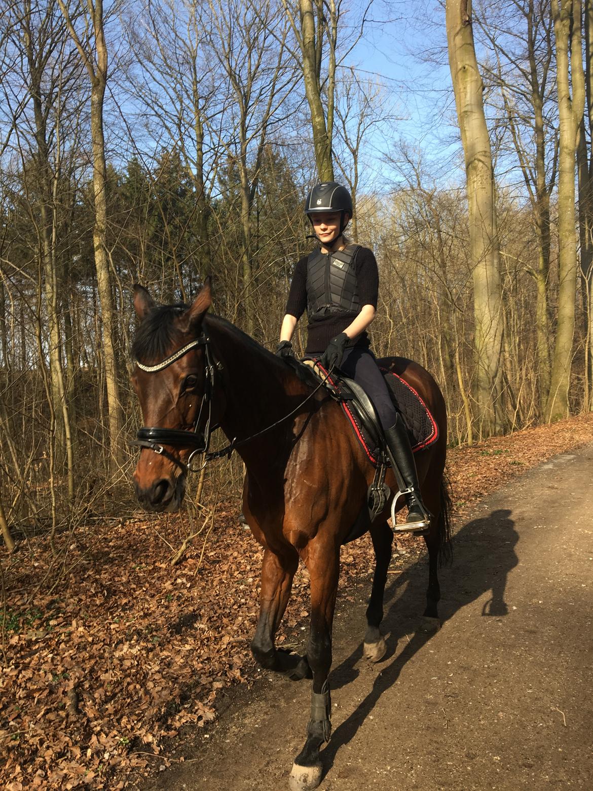 Fuldblod (XX) Madame de Jour XX (den) (Smilla) billede 12