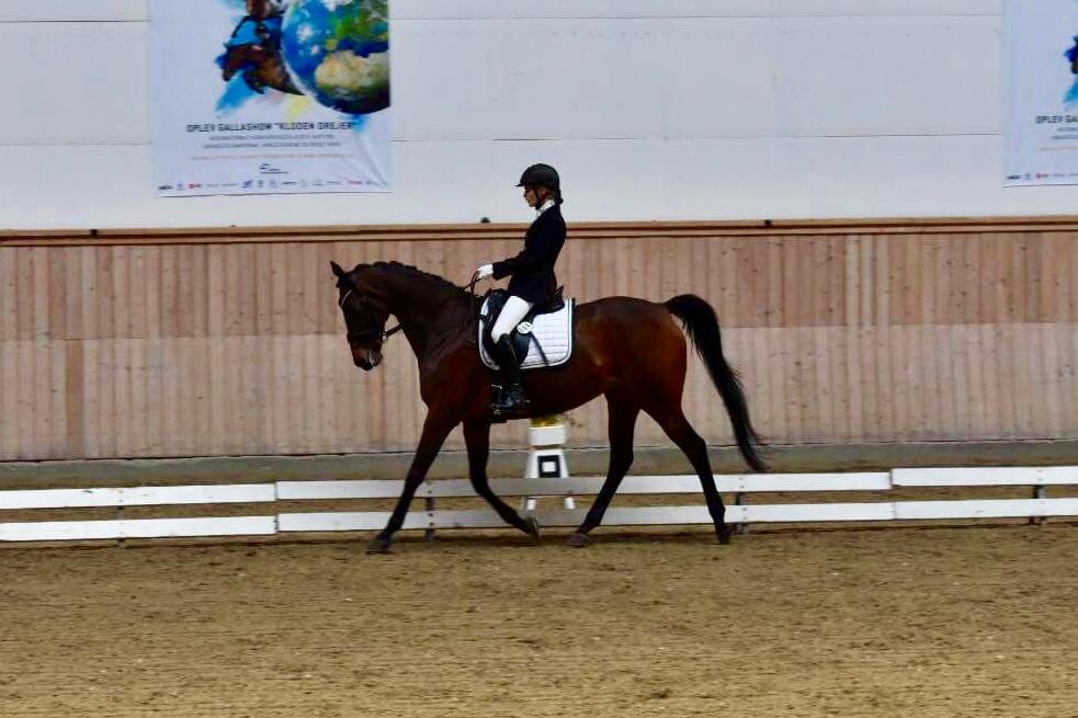 Fuldblod (XX) Madame de Jour XX (den) (Smilla) billede 11