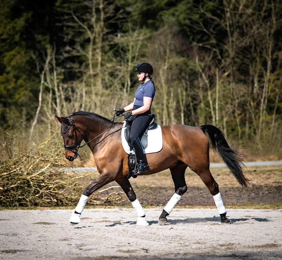 Anden særlig race PACIFIC MARQUESA - Fotograf: Louise Mølby billede 5