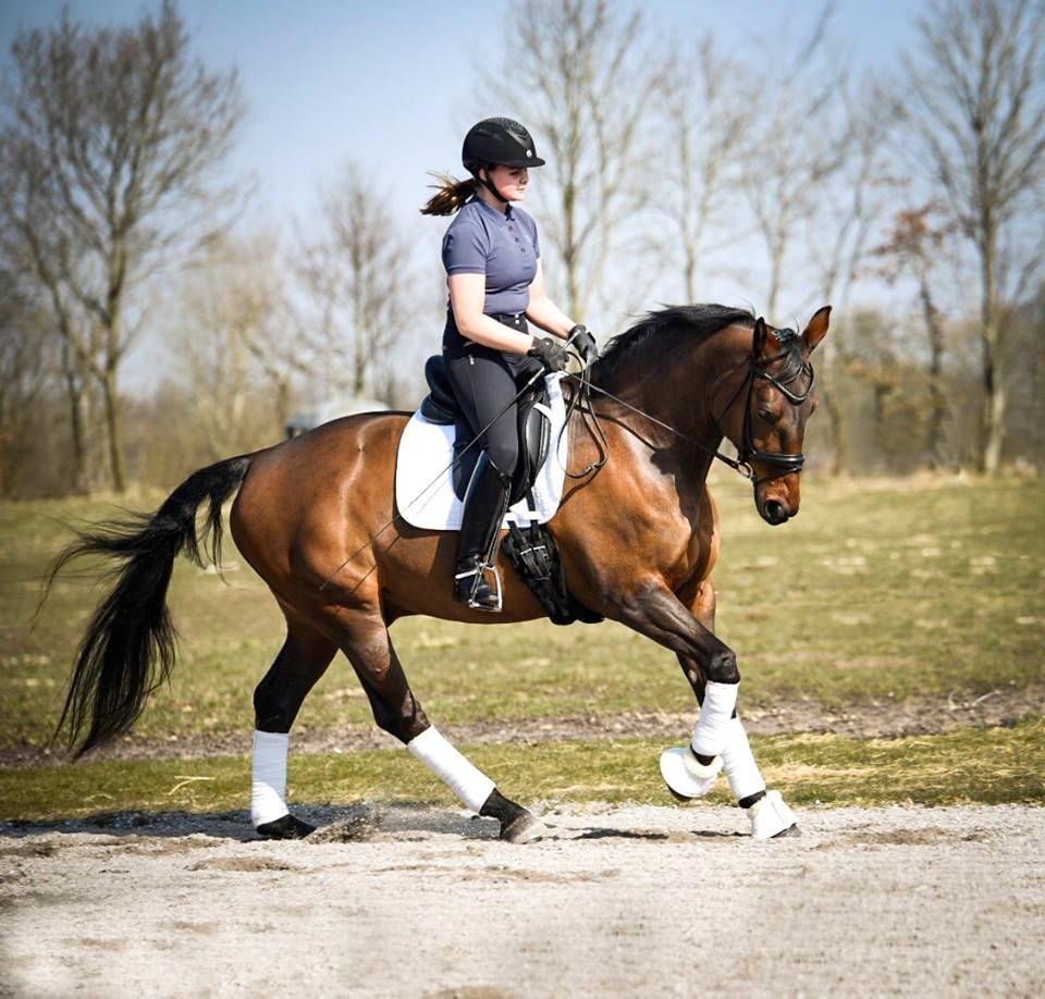 Anden særlig race PACIFIC MARQUESA - Fotograf: Louise Mølby billede 7