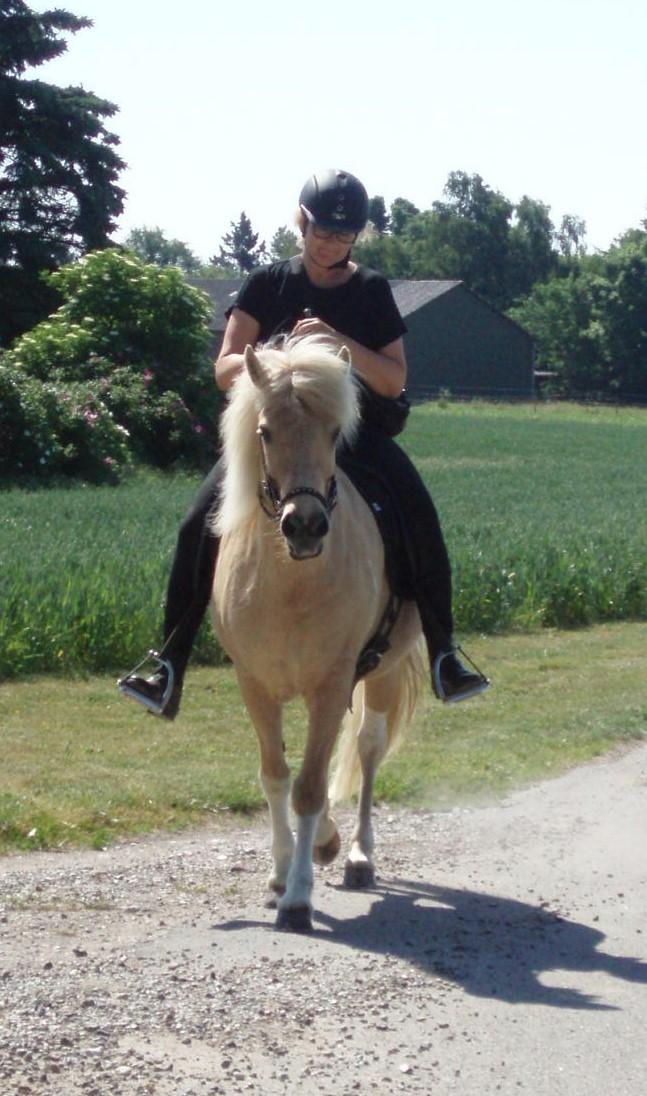 Islænder Jònina fra Isafold  billede 14