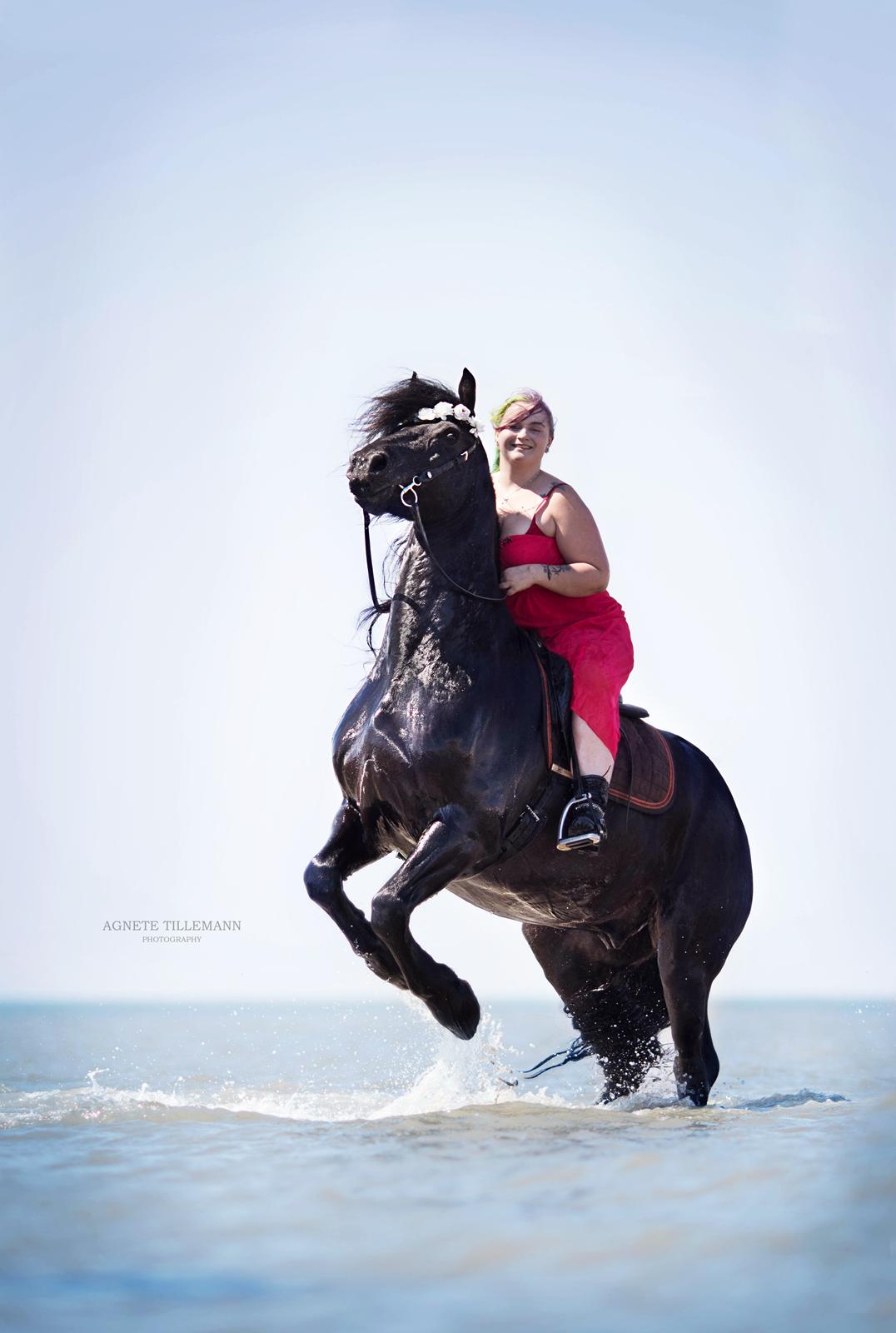 Frieser And They Named Him Lucky - 26 Maj 2018 billede 1