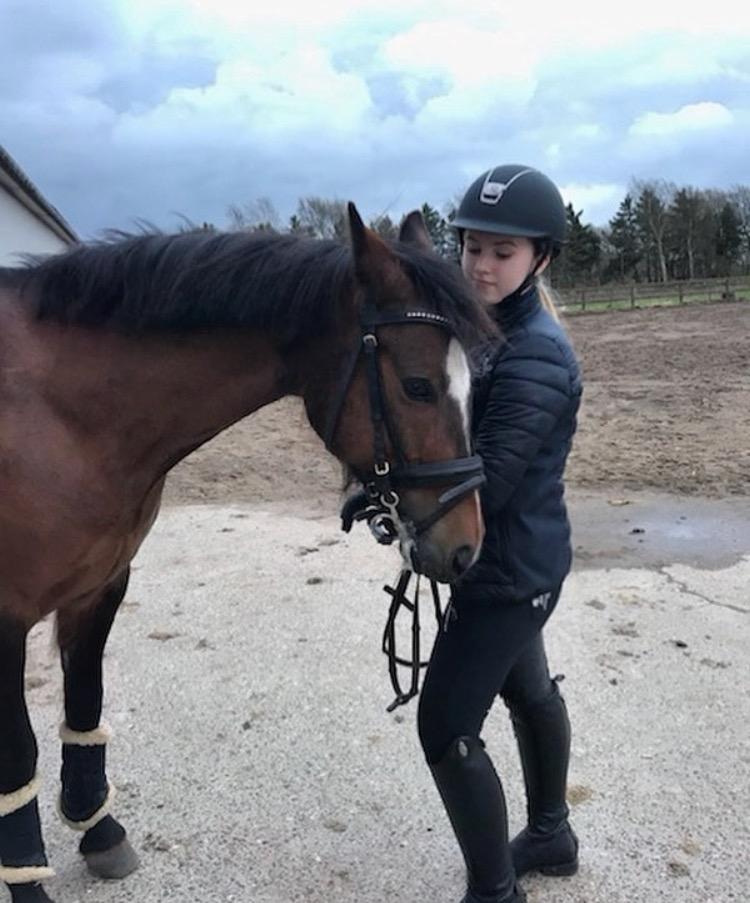 New Forest Odbjergs Tzatziki billede 1