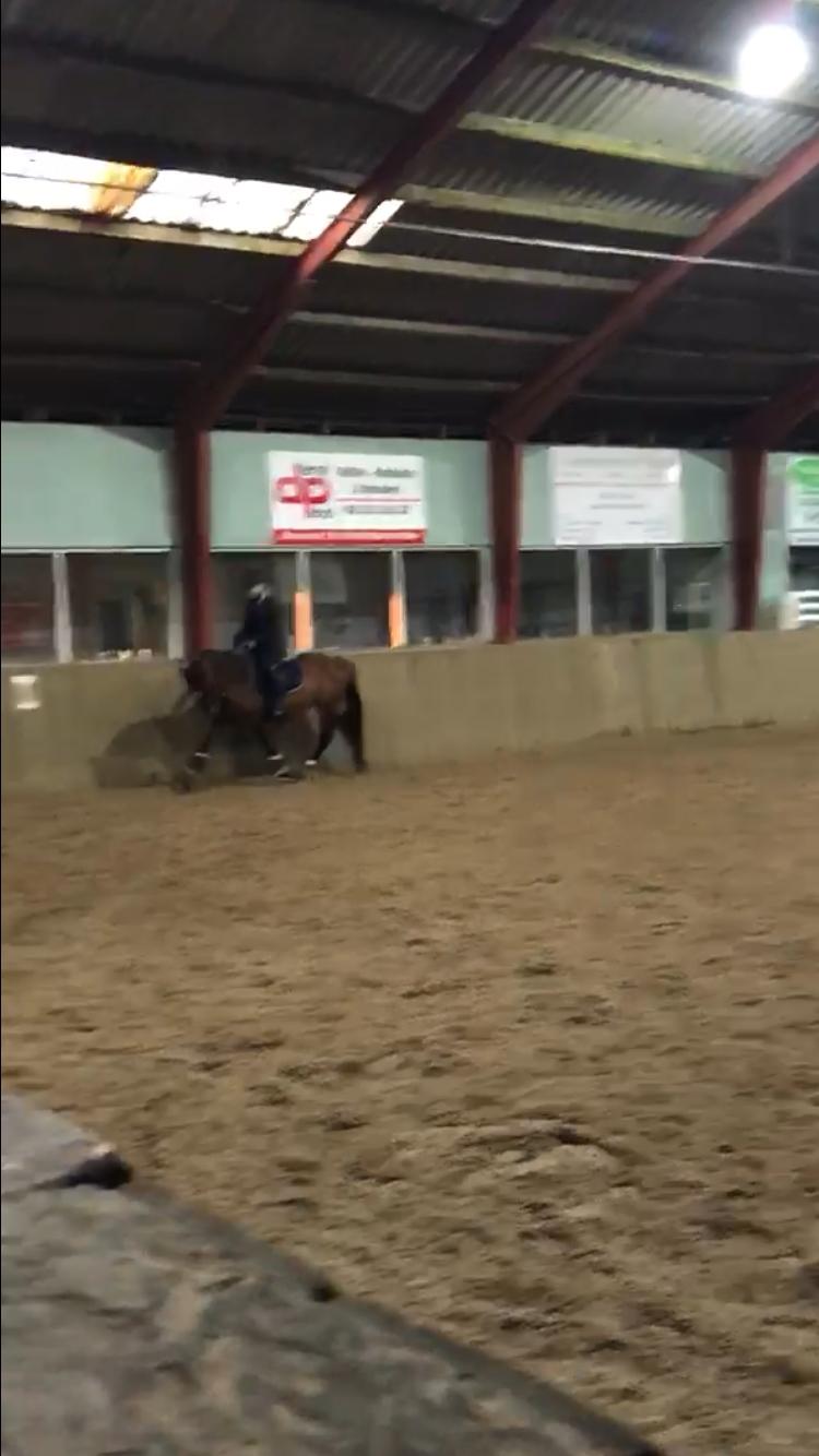 New Forest Odbjergs Tzatziki billede 2