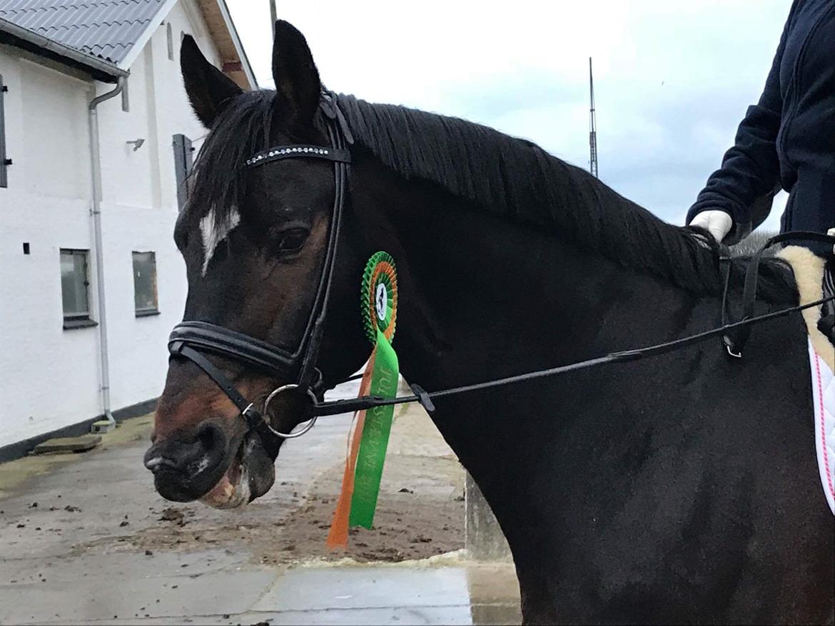 Württemberger Ave Austria S billede 16