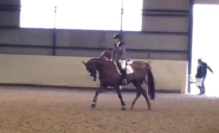 Dansk Varmblod Samantha Who - Opvarmning til vores første stævne sammen billede 13