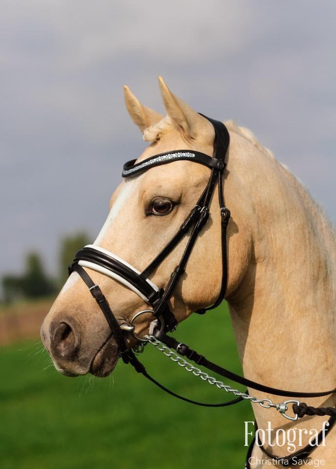 DSP Ørnagergård Caluni billede 10