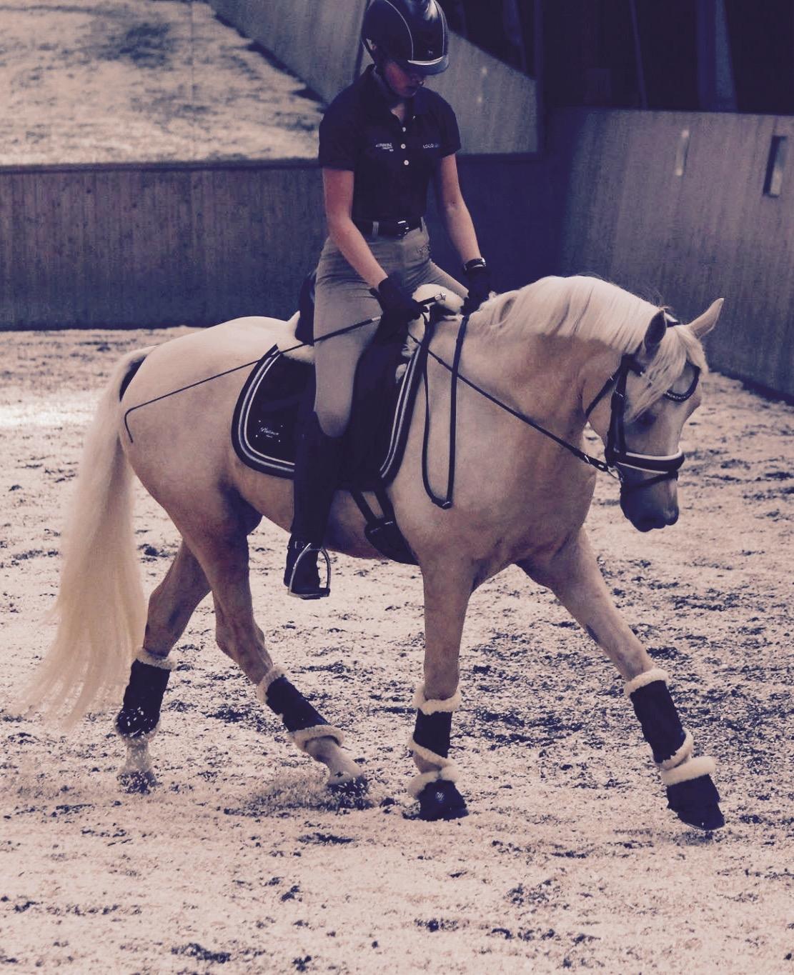 DSP Ørnagergård Caluni billede 12