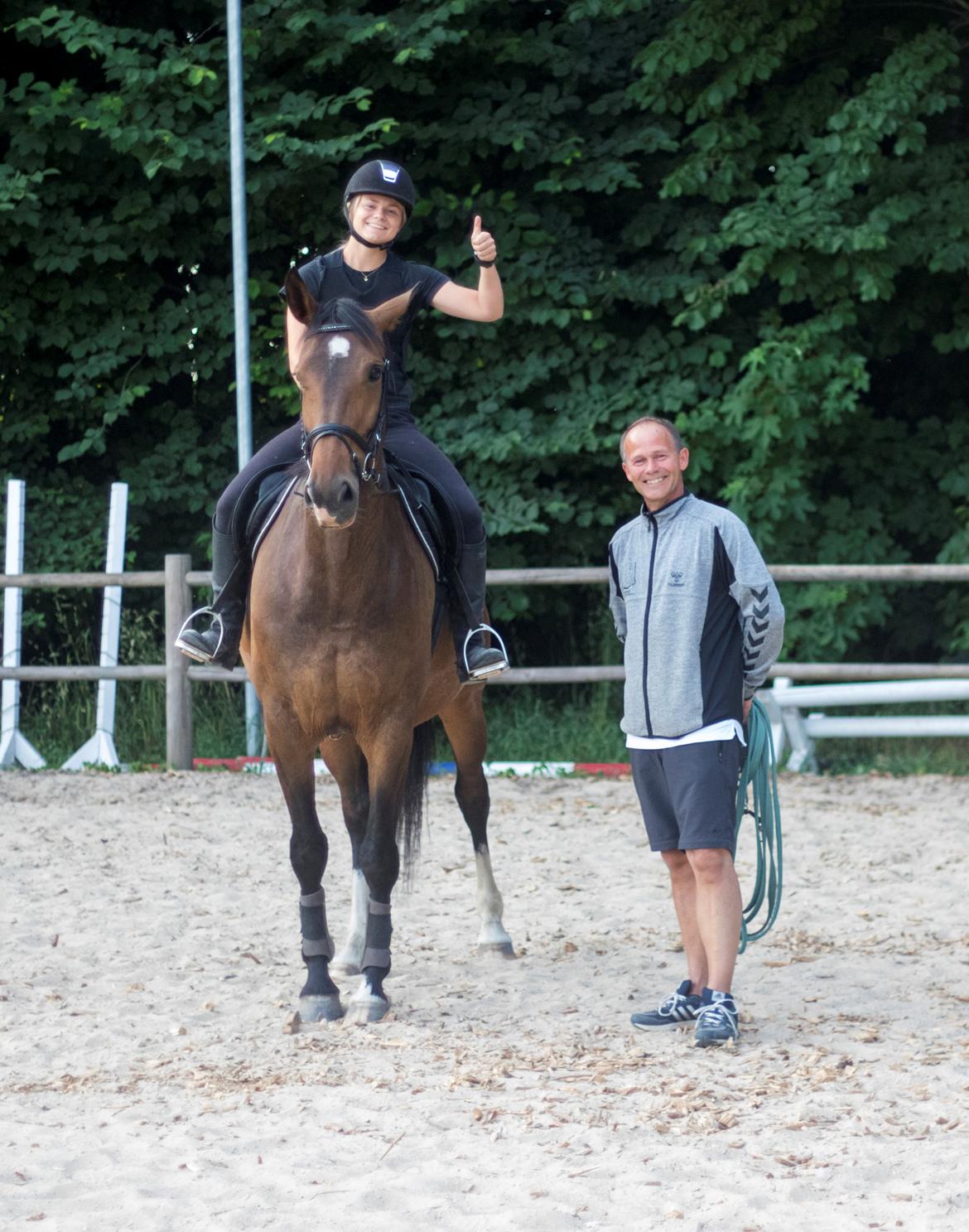 Dansk Varmblod Lindegaardens Emmelie billede 2