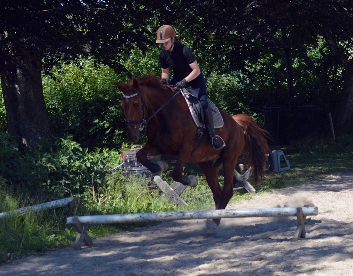 Frederiksborg Bacchus krogvænget billede 12
