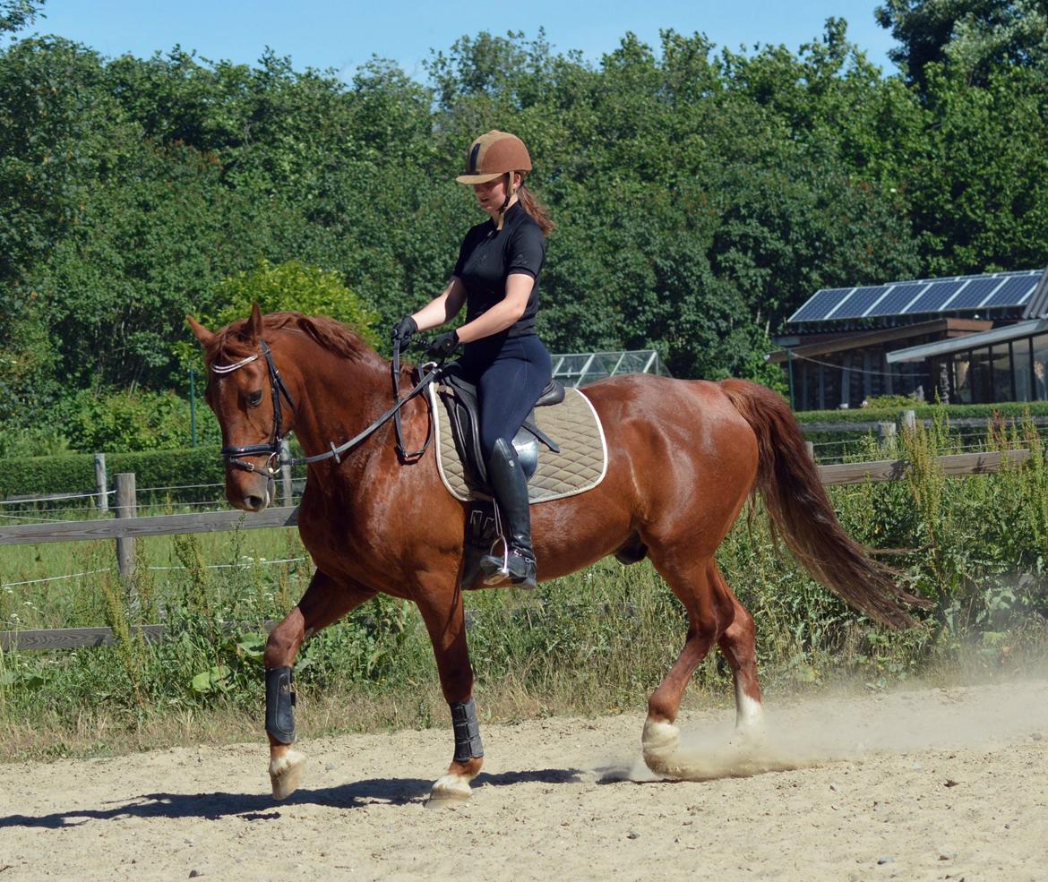 Frederiksborg Bacchus krogvænget - nedsidning billede 3