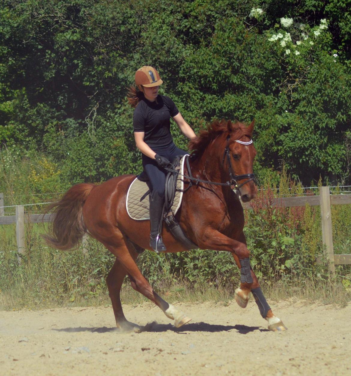 Frederiksborg Bacchus krogvænget billede 5