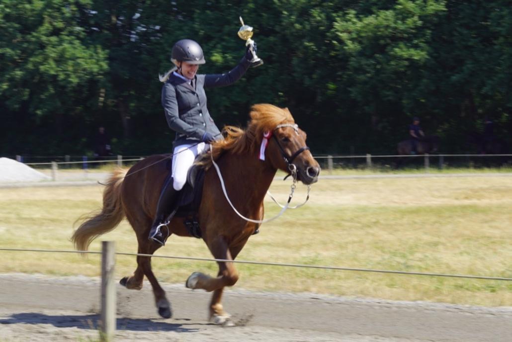 Islænder Eldingur fra Rønnow billede 11