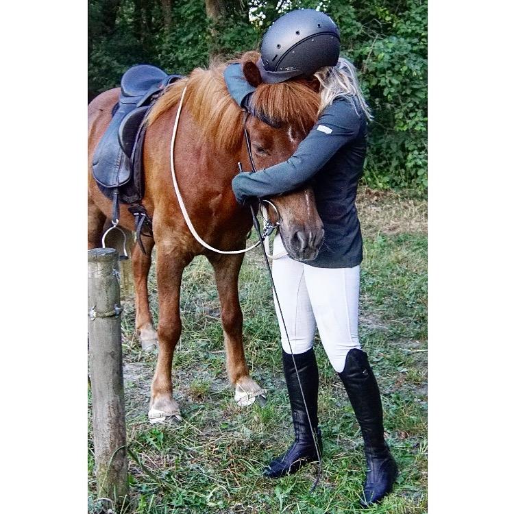 Islænder Eldingur fra Rønnow billede 2