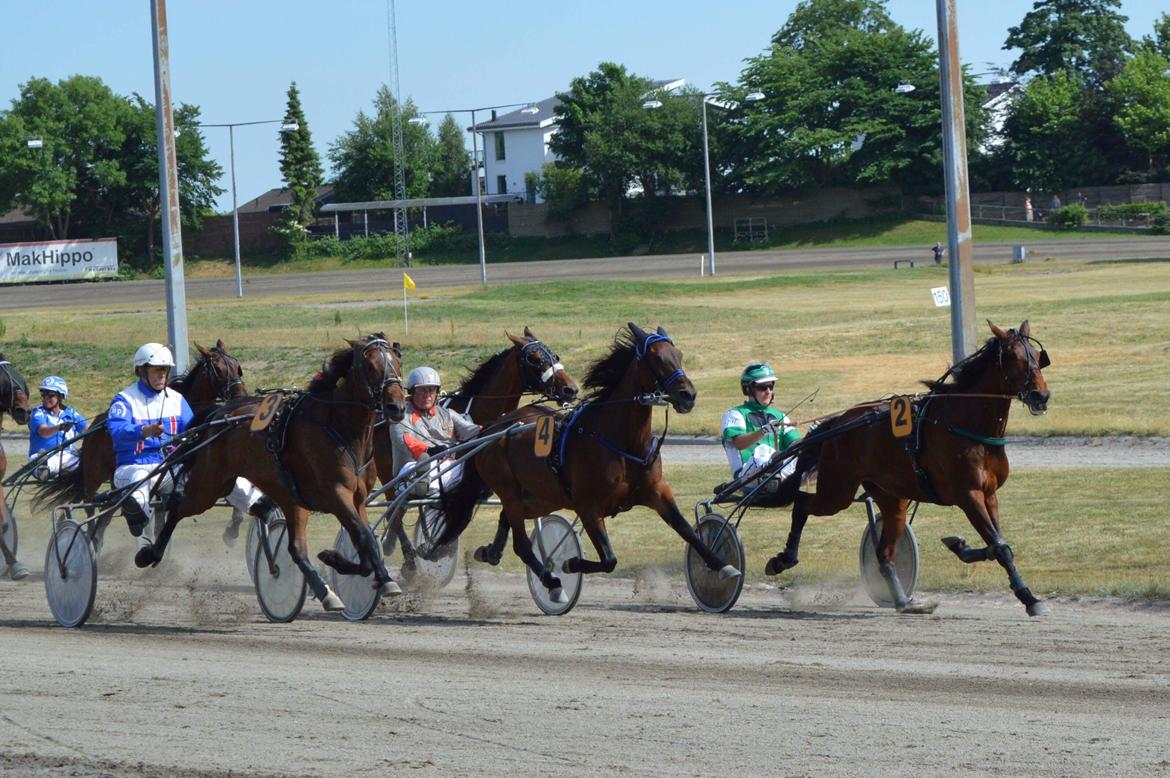 Traver Sofia Damhus billede 19