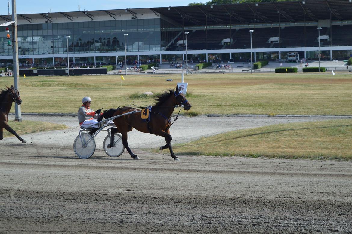 Traver Sofia Damhus billede 20