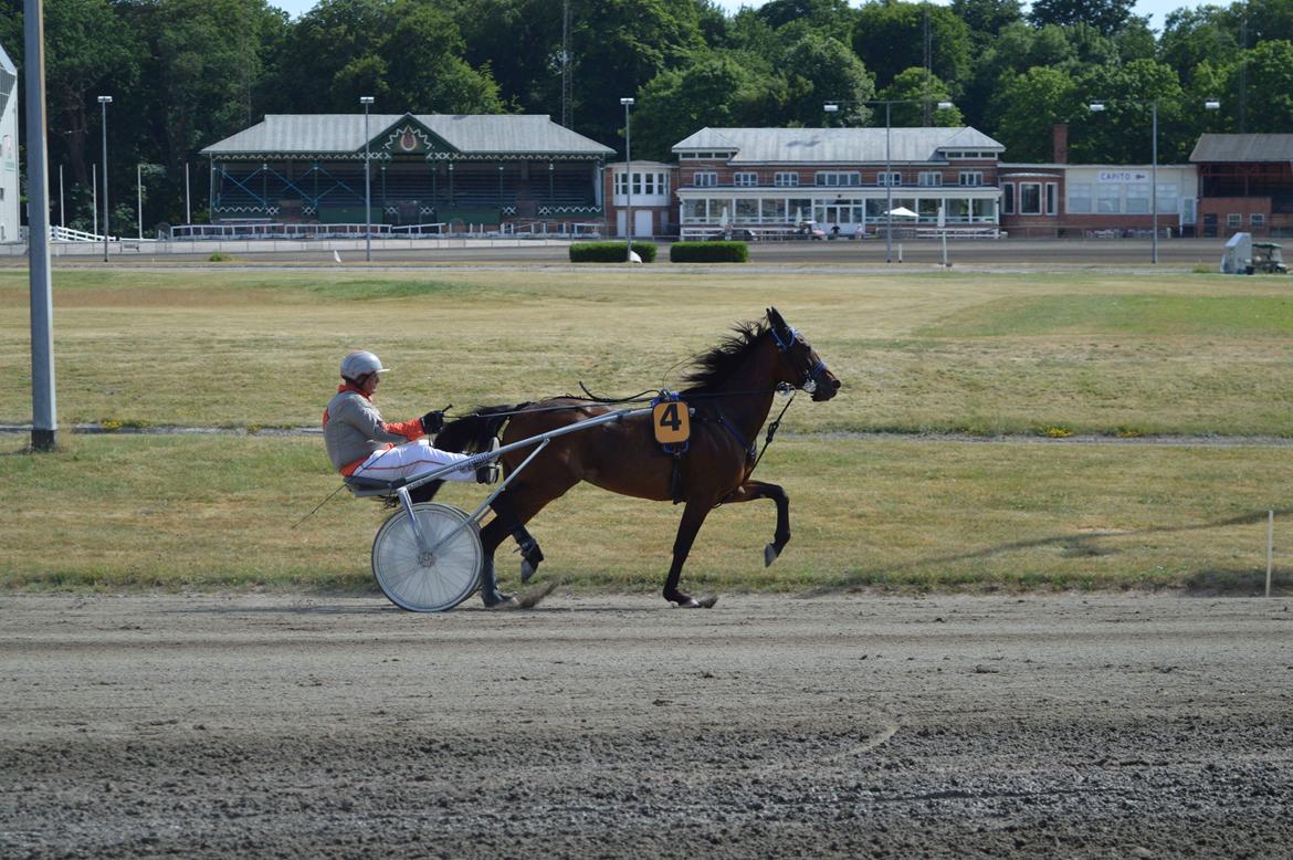 Traver Sofia Damhus billede 22