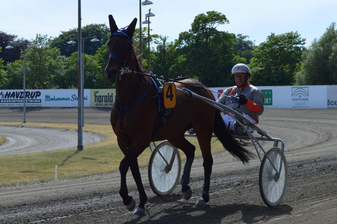 Traver Sofia Damhus billede 23