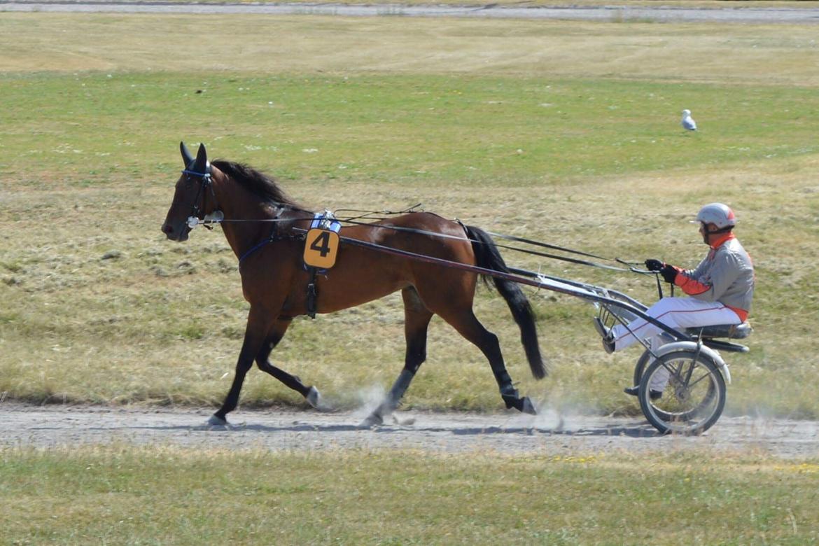 Traver Sofia Damhus billede 24