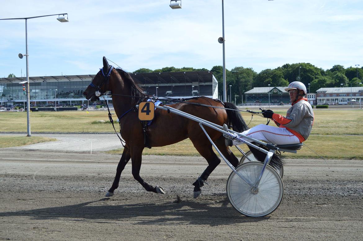 Traver Sofia Damhus billede 25