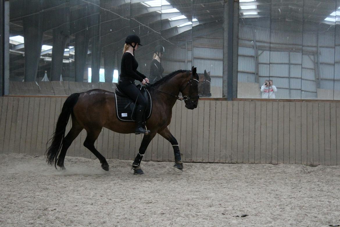 Anden særlig race Josefine. billede 10