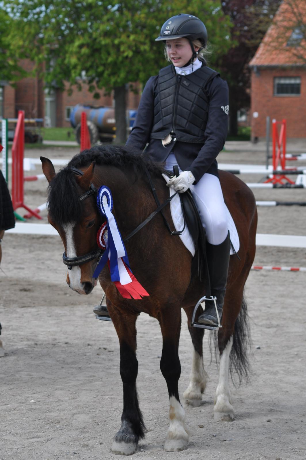 Welsh Pony af Cob-type (sec C) Chopins Obelix (rideskolepony+tidligere part) - Tredje springstævne sammen, og vi kom flot igennem banen uden usikkerhed på de meget grimme, nye spring😂💓 billede 16