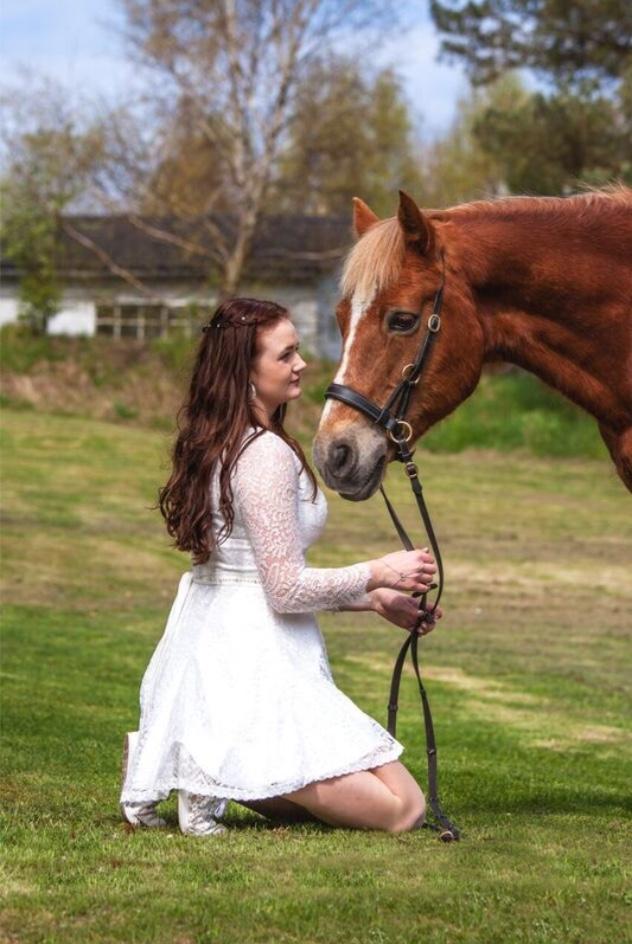 Welsh Cob (sec D) Kiding Game On billede 5