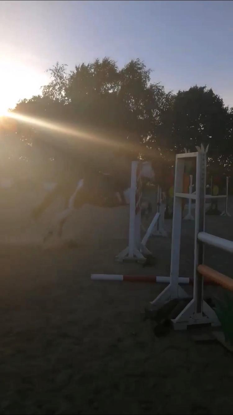 Anden særlig race Tulle Ørnhøj - Springer for første gang sammen billede 5