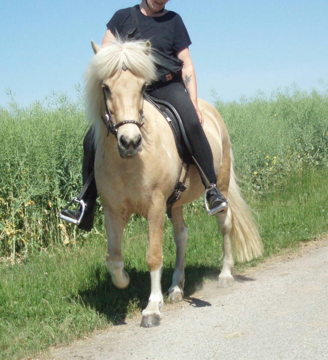 Islænder Jònina fra Isafold  billede 15