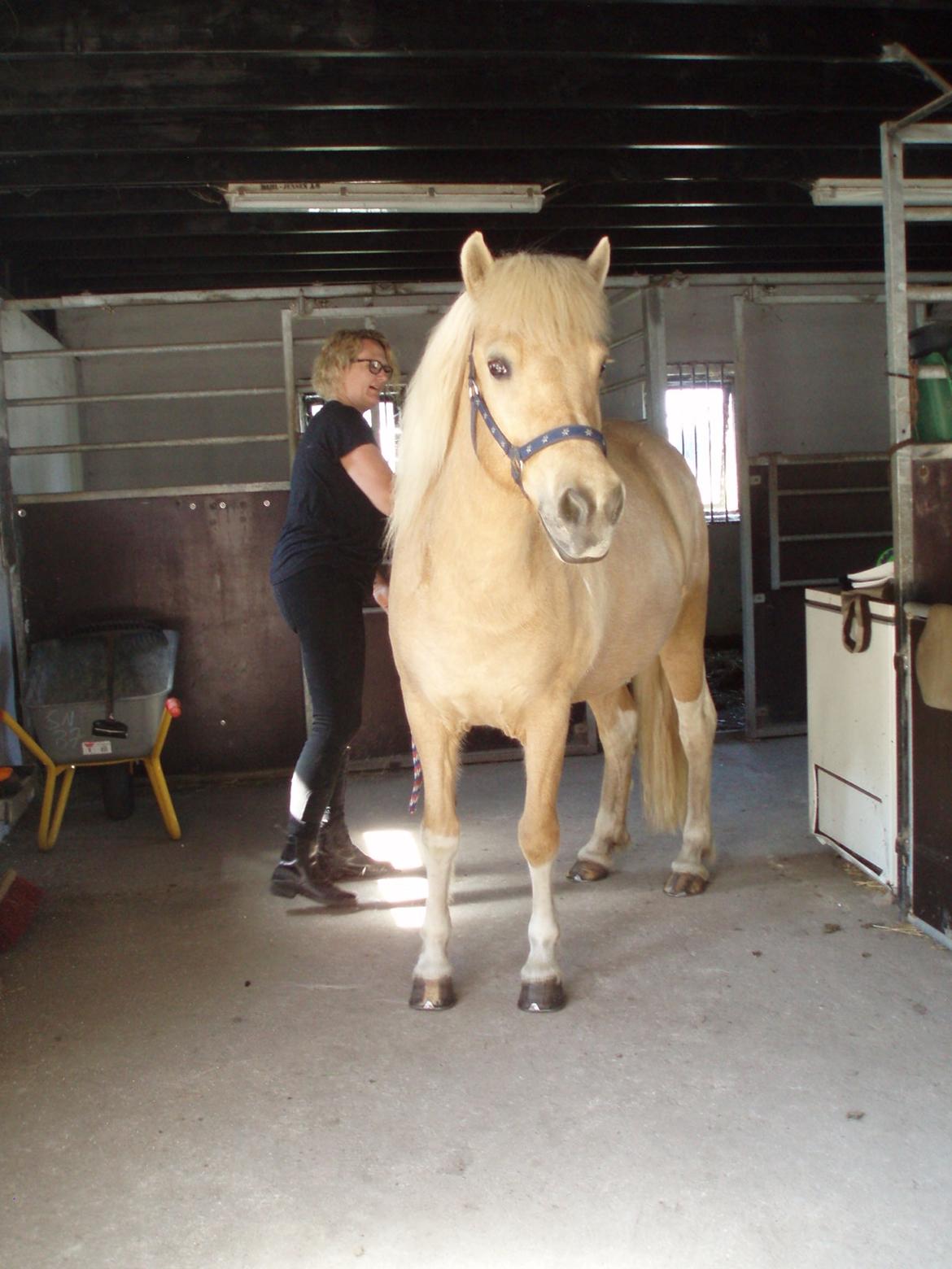 Islænder Jònina fra Isafold  billede 16