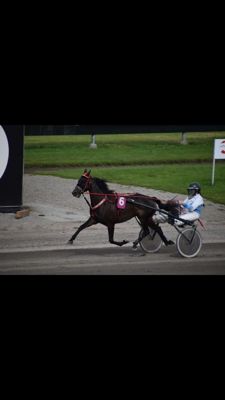 Traver Tessa Toft billede 9