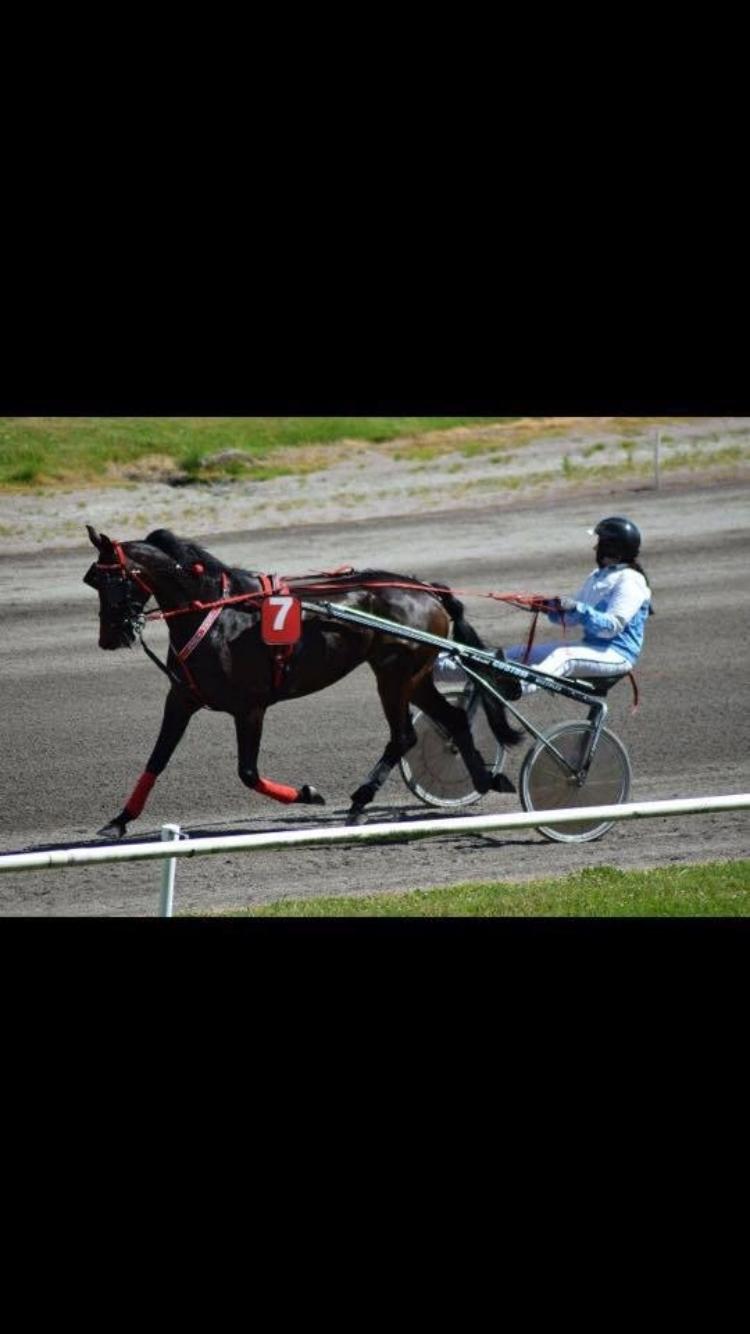 Traver Tessa Toft billede 14