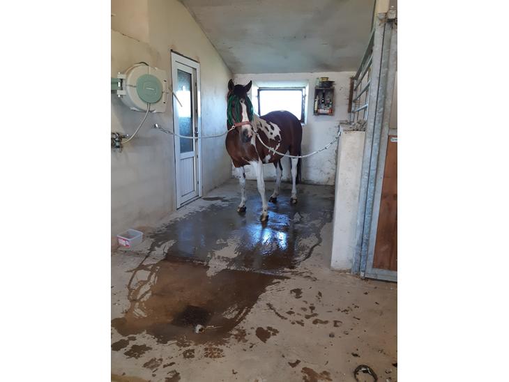 {{currentPhoto.altText}} billede {{currentPhoto.number}}